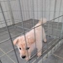 영암읍 복지회관 이미지