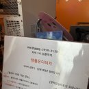 양양 와이비자 양리단길 라운지 템플온더비치 풀파티 찐후기