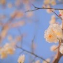 웰빙포샵 이미지