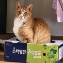 내 남편 춘장씨, 사랑해♡ 이미지