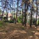 산정근린공원2 이미지