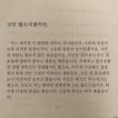 유마이 | 연말로 가는 길