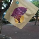 몸애, 끌림 이미지