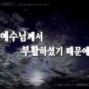 가리미김밥 - 강동구 진황도로49길 14 | 가리미김밥