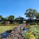 하도로와 이미지