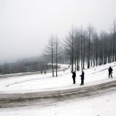 만드레 이미지