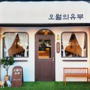 오월의유부
