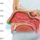 들숨 날숨을 인지하는 위치에 대한 질문 드립니다. 이미지