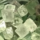 초록바람 이미지