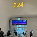 오케이 광고대행 | Cupertino, Sanfrancison 1일차 (+주차대행, 입국심사, 렌트카)