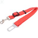 대성애견 이미지