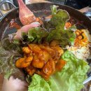 춘천닭갈비 | 제주시청 닭갈비 양 많고 맛 좋은 박가랑춘천닭갈비 후기