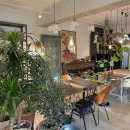 모스가든 이미지