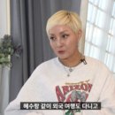 홍진희