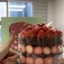 성심당 케익부띠끄 딸기시루 막내 후기, 다음날도 맛있게 먹는 꿀팁🍓