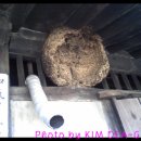 상주 동학교당 이미지