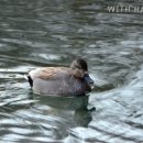 김박사반점 이미지