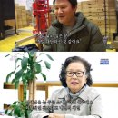 늘푸른사람
