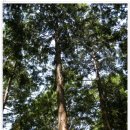 남도의 향기 이미지