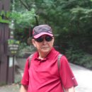제 530회 행복걷기 관악산 공원 걷기(회계보고) 이미지
