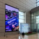 태권 날아올라 후기: 압도적 퍼포먼스, 캐스팅 정보 및 국립중앙박물관 극장 용 명당 가이드