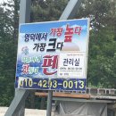 하늘아래첫집 | 하늘아래첫동네 애견펜션_영덕 애견동반 펜션 후기