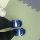 어류 | 충북 괴산 아이랑 가볼만한 곳, 아쿠아리움, 괴강토종어류체험관 주말 방문 후기