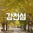 강천섬관리사무소화장실 | 강천섬 은행나무 단풍 실시간 현황 주차 축제 먹거리 반려동물 상세정리