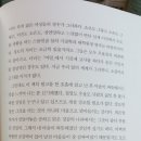 동네공감
