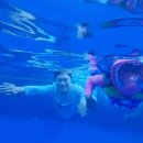 가온이네 이미지