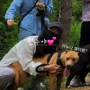 리버하우스 이미지