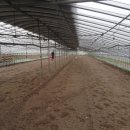 국대농장 이미지