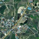 괴산 장연 대학찰옥수수 판매합니다. 이미지