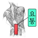 아나파한의원 네이버블로그