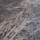 월학농장 이미지