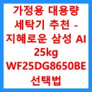 (주)다인테크놀로지 | 가정용 대용량 세탁기 추천 - 지혜로운 삼성 AI 25kg WF25DG8650BE 선택법