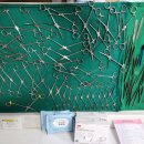 제주오름동물병원 이미지