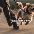 #DOG 이미지