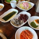 흑도야지