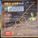 주작산자연휴양림 | 강진숙소, 주작산자연휴양림 휴양관 참나무실 숙박후기