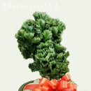 플로라 & 디자인스쿨 이미지