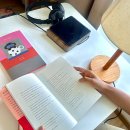 호스텔 온기 | 숙소 추천 북스테이 게하 숙소 게스트하우스 함돈균 뉴스쿨 제주워케이션 한달살기 숙소 호스텔 마음스테이