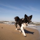 소노펫 동물병원 이미지