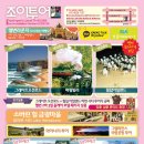 다시찾는여행사 이미지