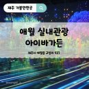 그곳 애월2 | 애월실내관광지 아이바가든 제주가족여행 미디어아트 찐후기