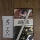 골든리프 티스토리