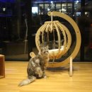 메인쿤 하우스 이미지