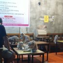 구름위의고양이 이미지