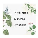 봉선드림소아청소년과의원 이미지