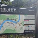 충남 금산 월영산 출렁다리 주차장 편함 이미지